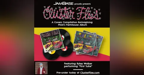 Cluster Flies: Ryley Walker - First Tube