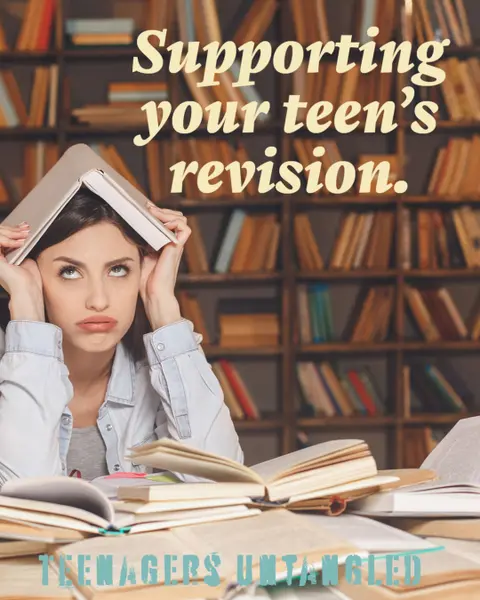 Revision - getting to why.