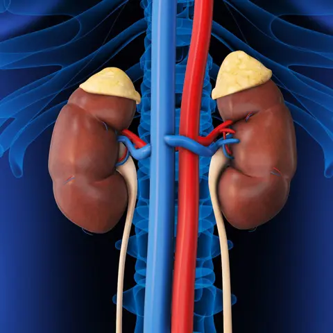 Adrenal Insufficiency