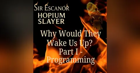 Why Would They Wake Us Up? Part I ~ Programming