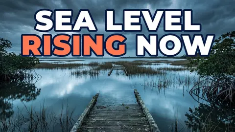 Sea Level Rise Has a Speed Limit: Why Marshes and Mangroves Are Racing the Tide