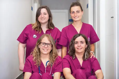 Beyond the Wag: 7 Questions to Uncover Your Pet's Perfect Vet