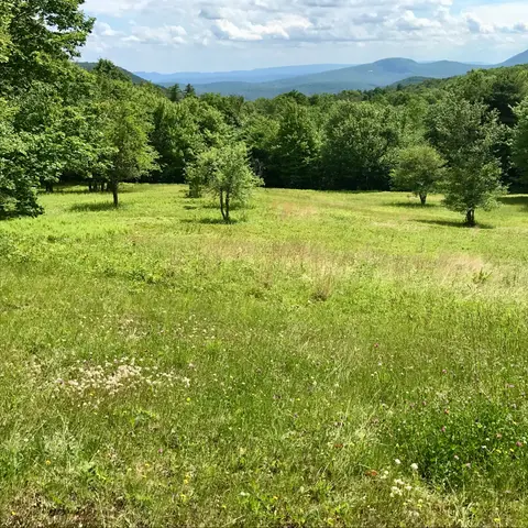 Woodstock NY Pollinator Pathway