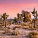 #150: Exploring Joshua Tree National Park
