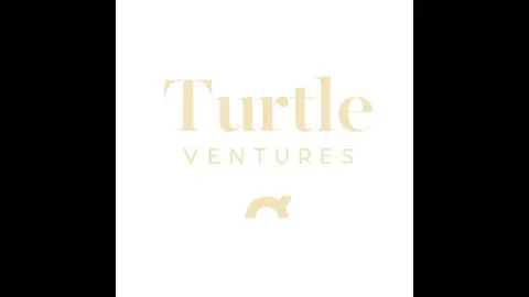 Turtle Ventures