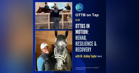 S2 E14: OTTBs in Motion: Rehab, Resilience & Recovery with Dr. Ashley Taylor (Part 1)