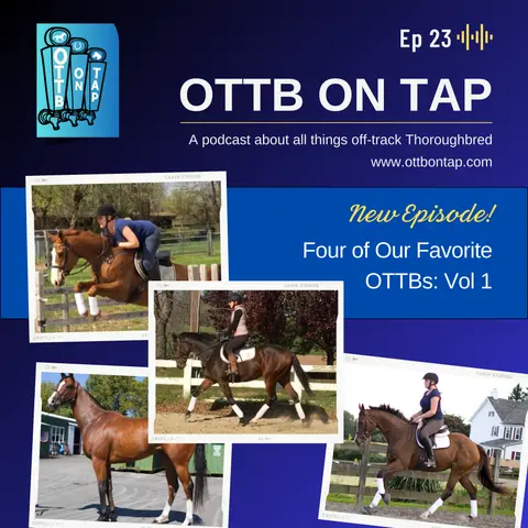 Ep 23: 4 of our Favorite OTTBs, Vol 1