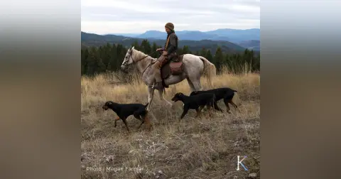 Range Rider & The Lads | With Daniel Curry, Wolf Conservationist