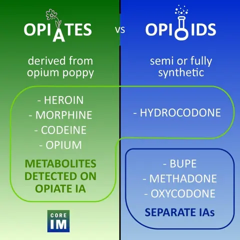 #163 Urine Drug Screening Nuances: 5 Pearls Segment