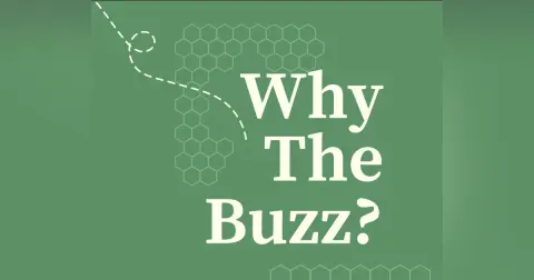 Why The Buzz? | Quantum Cybersecurity Explained: Are Your Systems Ready for the Quantum Storm?