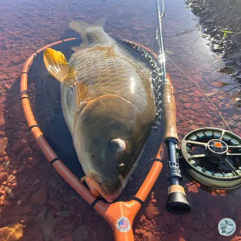 S8, Ep 58: Central PA Fishing Report: George Costa's Summer Strategies for Success
