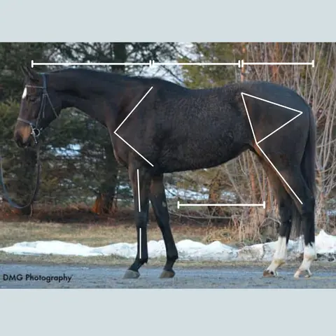 Follow Up! OTTB on Tap Evaluates Vol 2: Were our assessments correct? The Owners Weigh In!