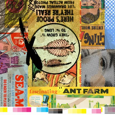 Episode 62: Ant Farms vs. Sea Monkeys