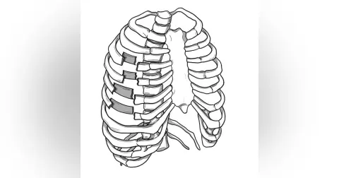 Rib Fractures