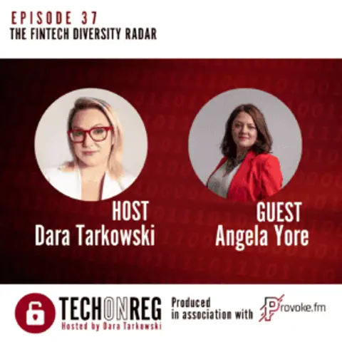 The Fintech Diversity Radar