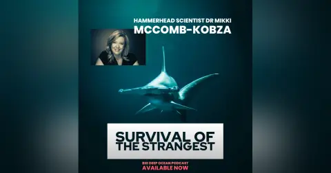 Survival of the Strangest: Mikki McComb-Kobza On Her Passion For The Undersea World of Hammerheads