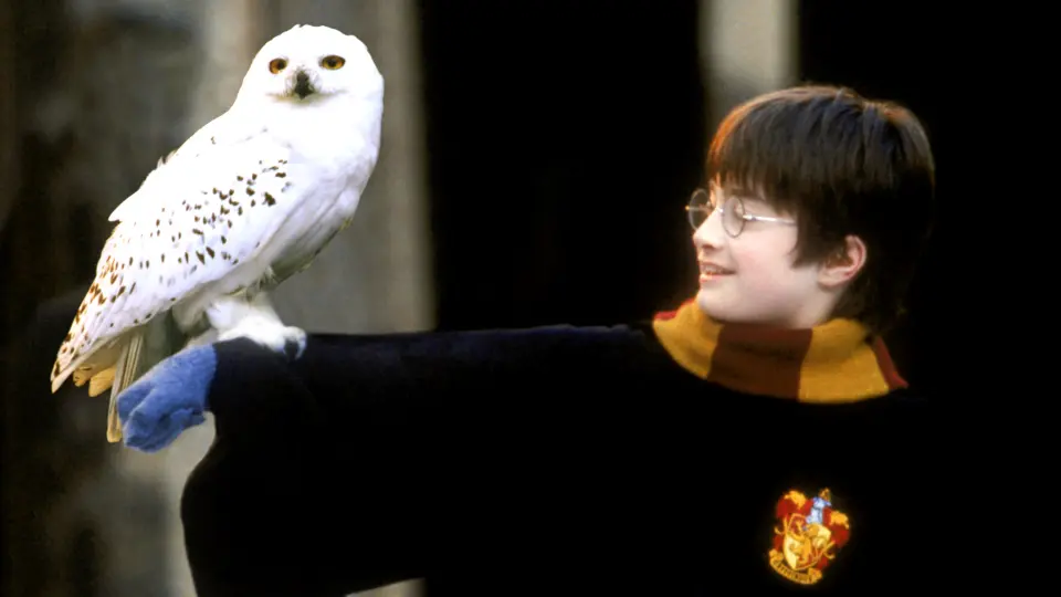 Harry Potter and the Sorcerer's Stone, film still Harry Potter and the Sorcerer's Stone, film still