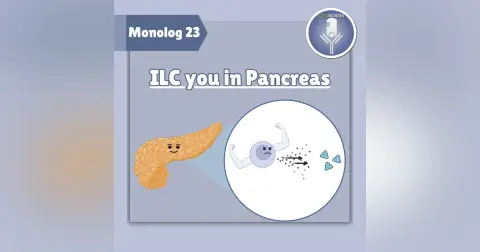 Monolog 23 - ILC you in pancreas 2