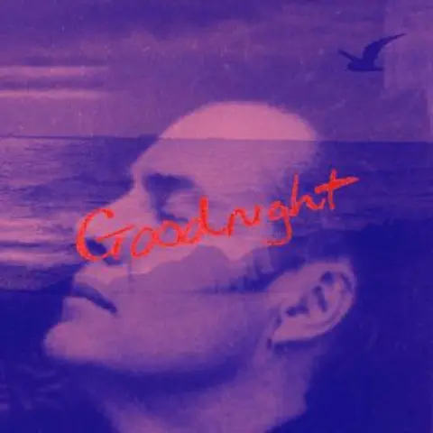 Goodnight