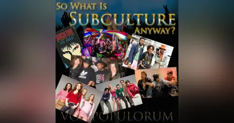 e51. So What Is Subculture Anyway?