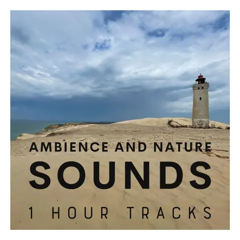 Wind noise around Danish lighthouse (1 hour)