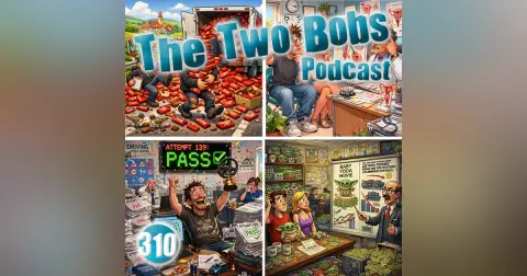 TTB310: Polish Road Test